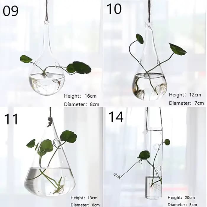 Support en verre transparent pour plantes à fleurs, jardinières pour la maison, vase à boules, terra