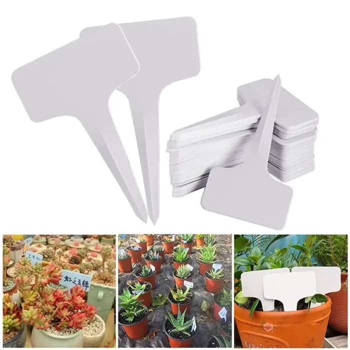 Étiquettes de type T en plastique PVC blanc pour plantes, marqueurs pour pépinière, jardin, plateau