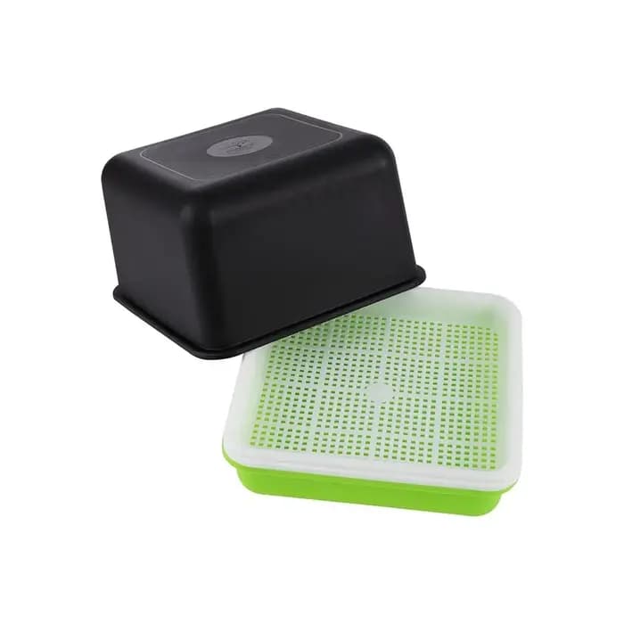 Plateau de culture hydroponique pour semis d'ail