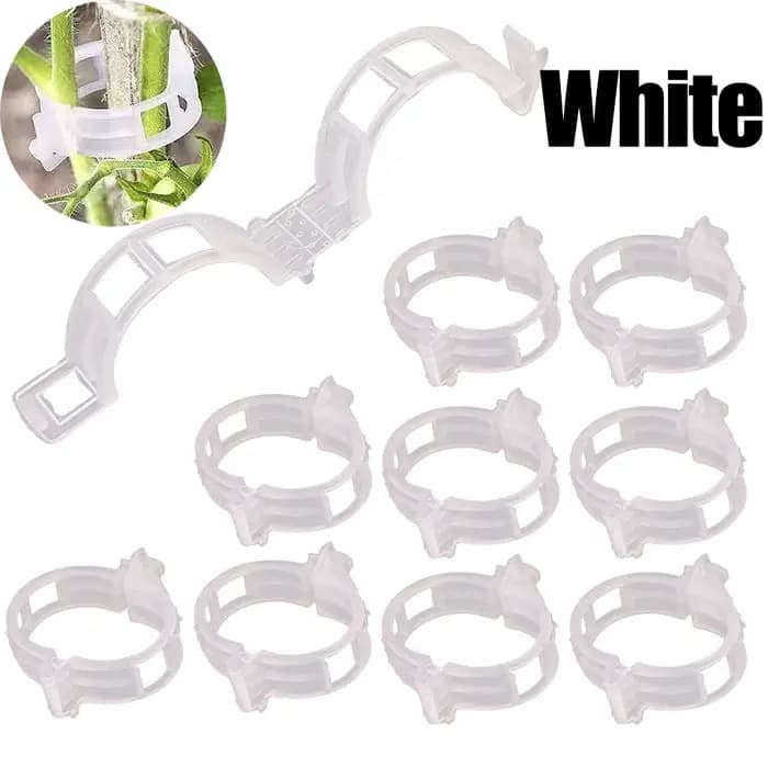 Clips de plantes réutilisables