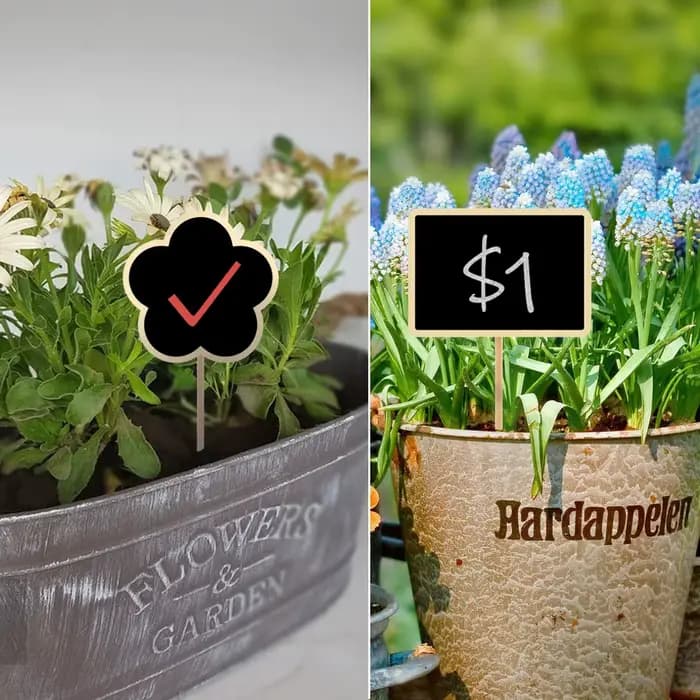 Étiquette de tableau noir en bois avec pieu, mini panneau noir, signe décoratif, plantes de jardin,