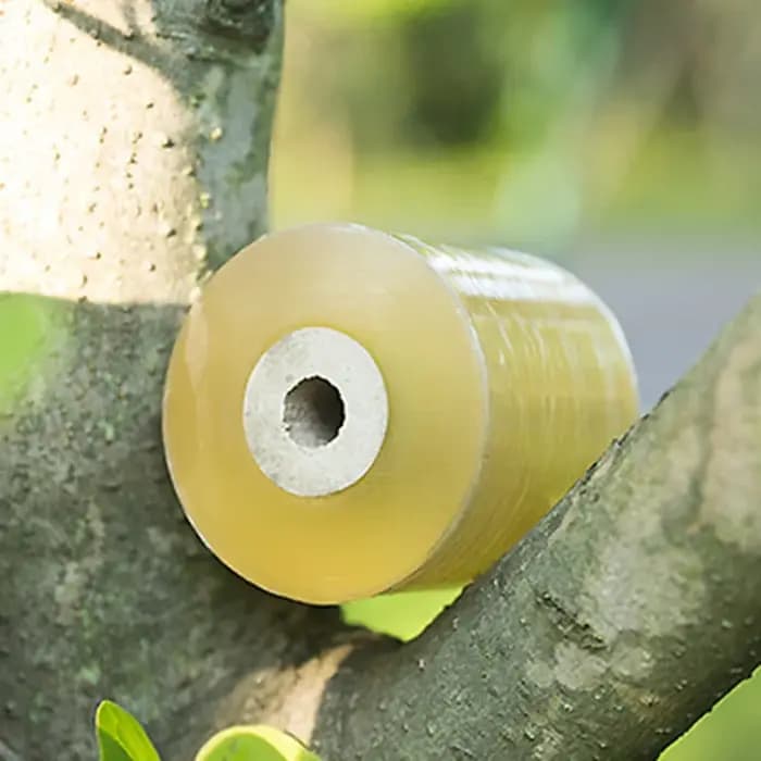 Film à membrane de greffage d'arbres fruitiers