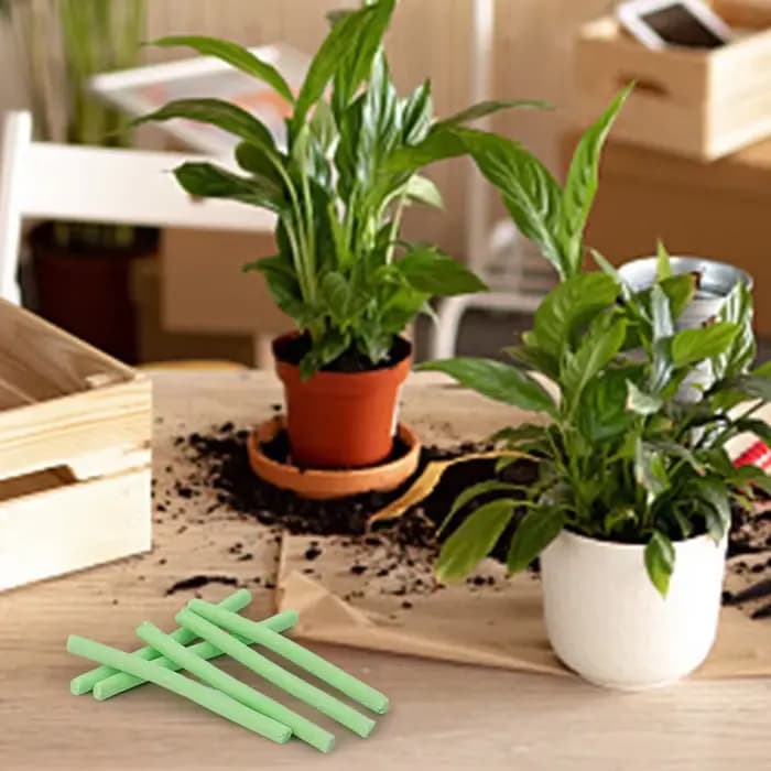 Bâton de croissance universel pour plantes en pot d'intérieur