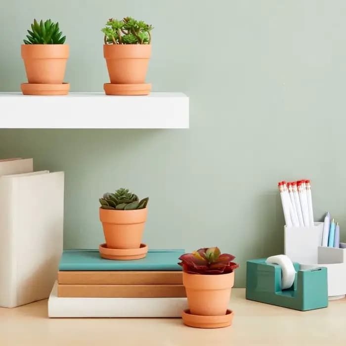 Pot en argile avec mini jardinières succulentes