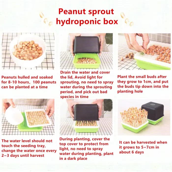 Boîte hydroponique pour germer des cacahuètes, graines, blé, graines, graines, graines, plateau pour