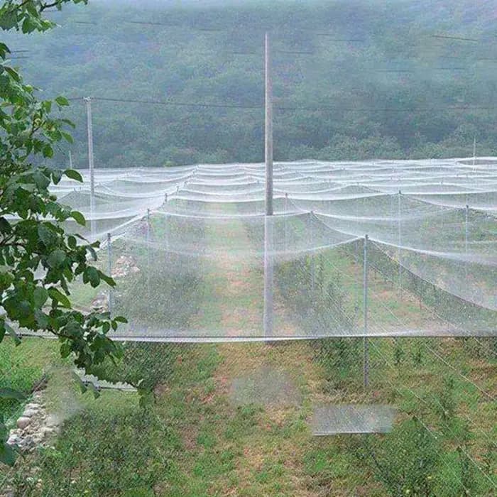 Filet anti-oiseaux Extra résistant, maille de jardin en Nylon pour culture de fruits, plantes, arbre