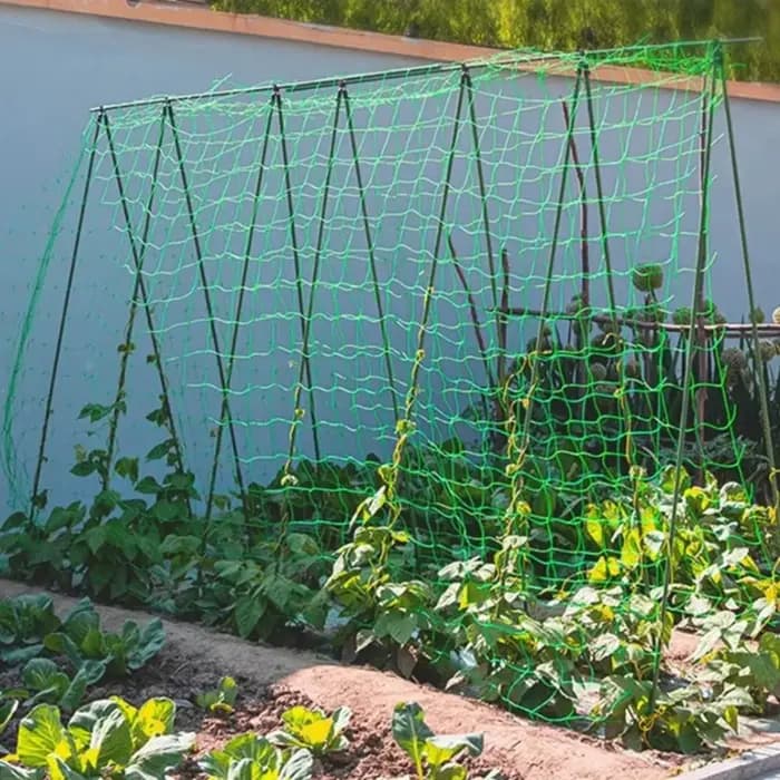 1 filet de treillis en nylon robuste pour plantes grimpantes d'extérieur, filet de jardinage en nylo