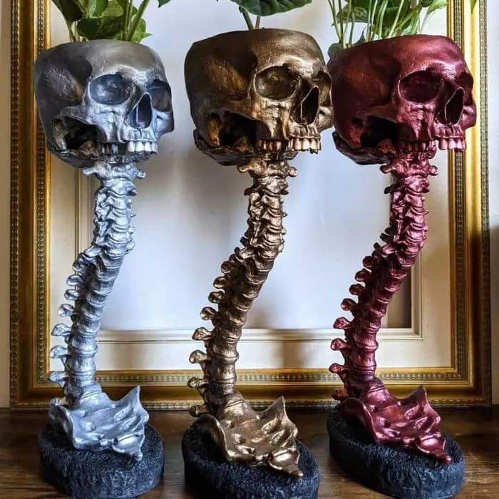 Ensemble de support de colonne vertébrale de jardinière de crâne