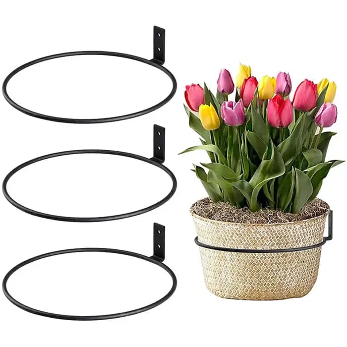  Anneau de support pour plantes, support mural pour Pot de fleurs, anneau en métal, cintre pour plantes d'intérieur, supports de fleurs
