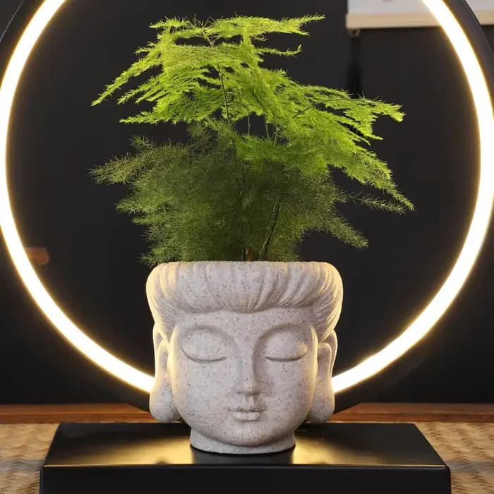 Nouveau pot de fleurs zen créatif en forme de tête de Bouddha