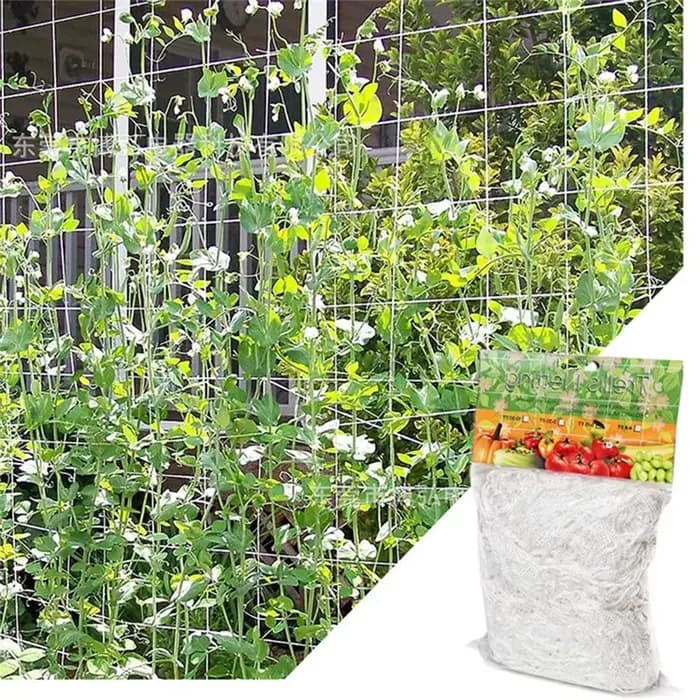 Filet d'escalade en maille pour plantes, filet de luffa pour téléphones, fleurs de vigne de gloire,
