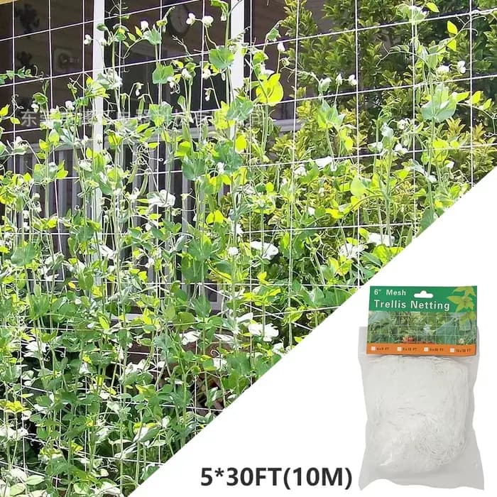 Filet d'escalade pour plantes de jardin, 10M, treillis en Polyester Durable, Support pour plantes de