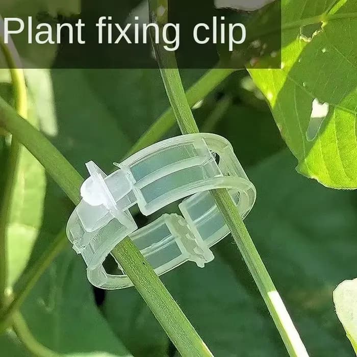 Clips de maintien de vigne réutilisables en plastique