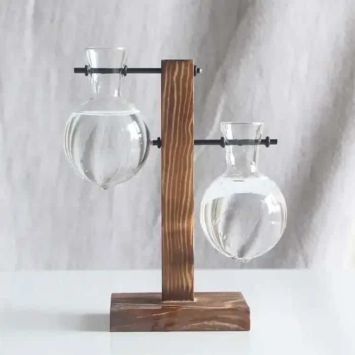 Pot de fleur Vintage, cadre en bois Transparent