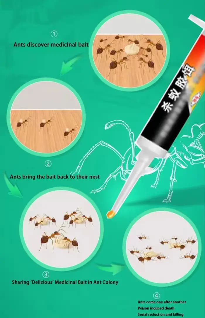 Attrayant de fourmis, utilisé pour la rosée des fourmis