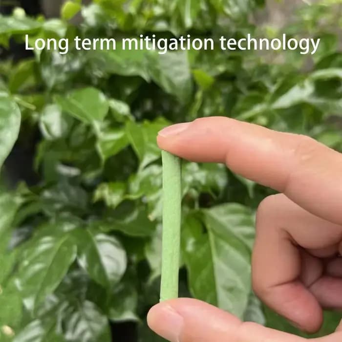 18 pièces/boîte plante bâtons à dégagement lent nutritif bâton à libération lente engrais intérieur Pot de fleur plantes