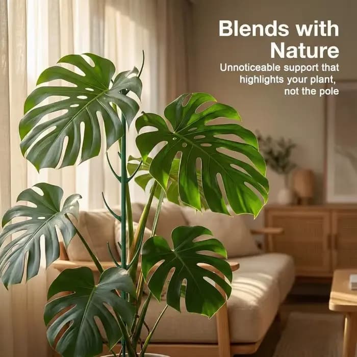 Supports pour plantes Monstera, 5 cadres de support et 1 rouleau de velcro, piquets de jardin conçus