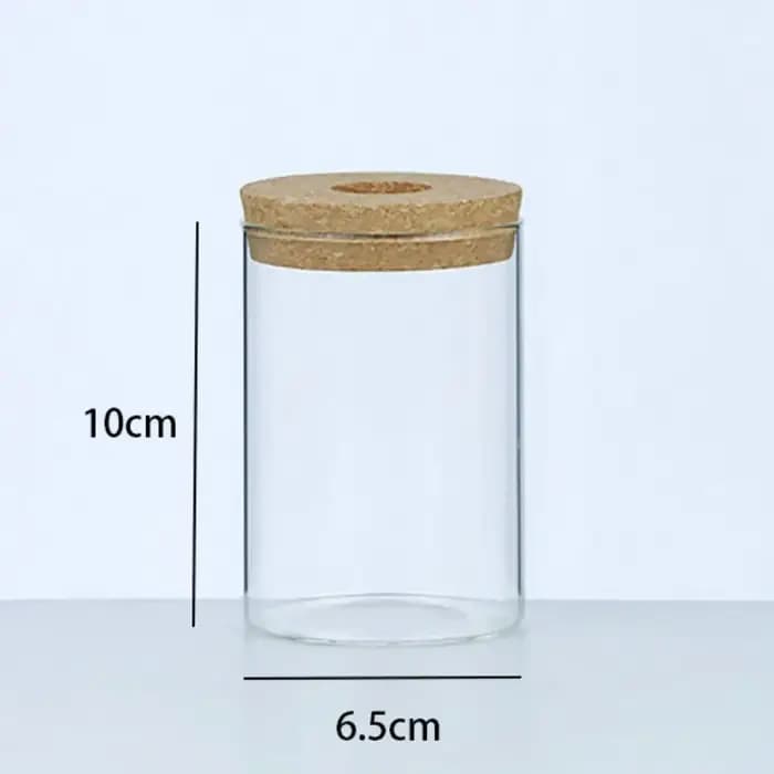 Pot de fleur hydroponique transparent pour la maison