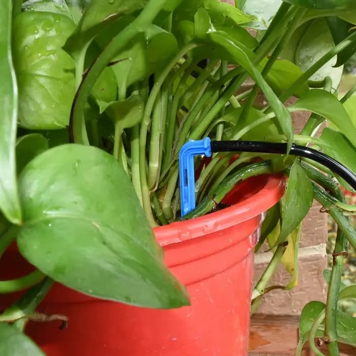 KESLA 50-1000 pièces serre 3/5m tuyau goutte à goutte goutte Irrigation goutteurs 1/8 ''émetteurs de
