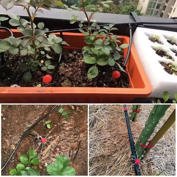 Goutteur d'irrigation réglable pour système d'arrosage, 100 pièces, 8 trous