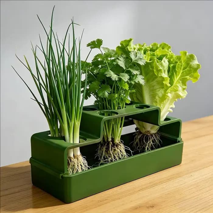 1 dispositif de plantation spécialement conçu pour les légumes