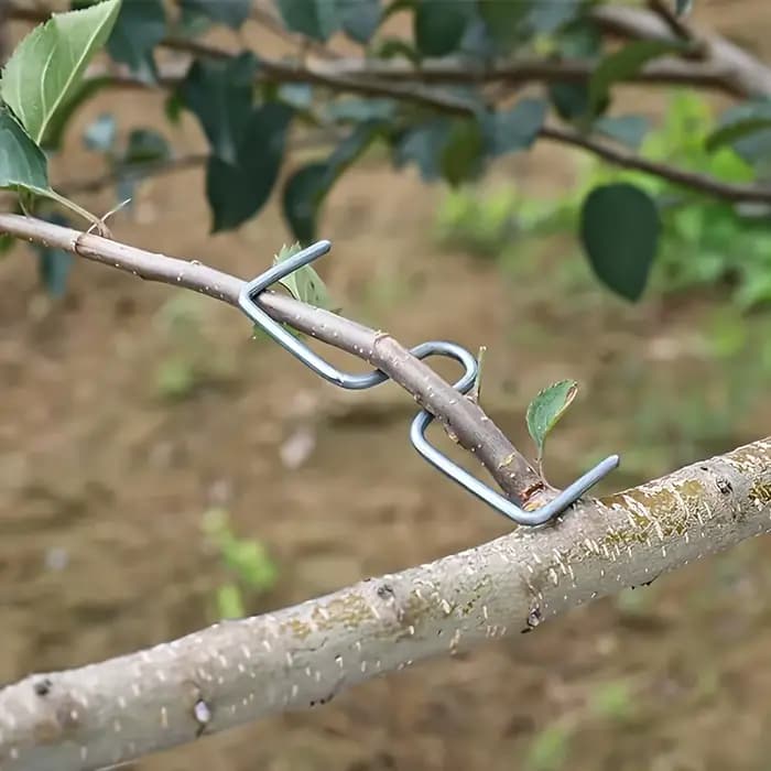Kit d'outils de pliage de branches d'arbres fruitiers, 50 pièces, outils manuels de pliage de branches pour la mise en forme et l'écartement, outils de culture pour vergers