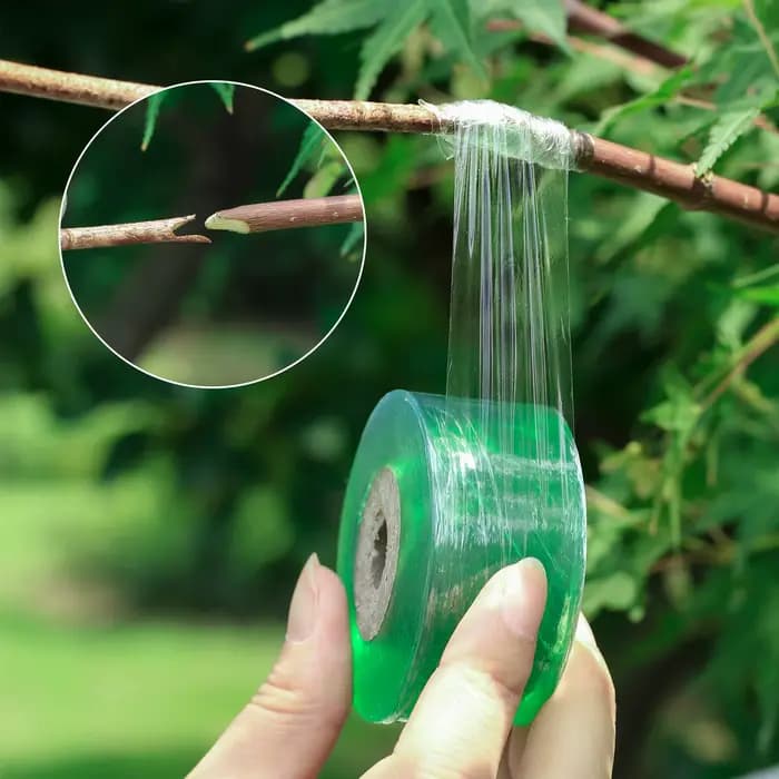 Film de ruban de greffage PE auto-adhésif, plante d'arbre de jardin, semis de vigne, tomate, accesso