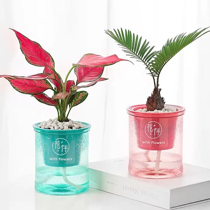 Pot de fleurs hydroponique Transparent rond en plastique