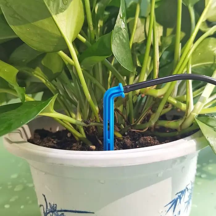 WUJIE-Tuyau d'arrosage de jardin, tube d'irrigation, bonsaï de serre, plante, fleur, goutte à goutte