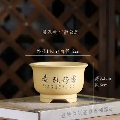 Pot rond en céramique pour bonsaï