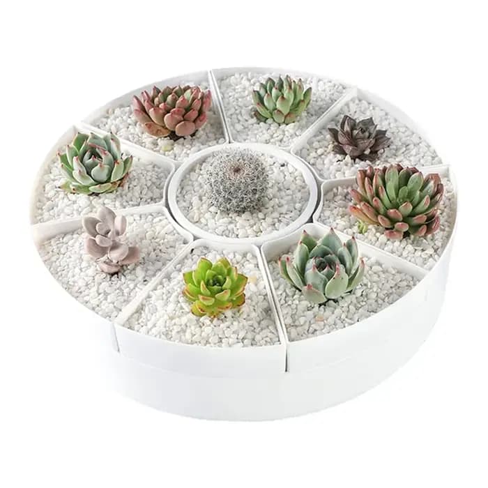 Pots de fleurs rotatifs multiples de forme ovale - Plante en pot pour plantes succulentes blanches - Pot de rangement