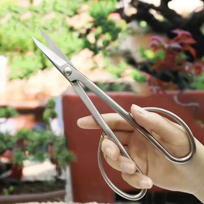 Kit d'outils d'élagage de bonsaï en acier inoxydable