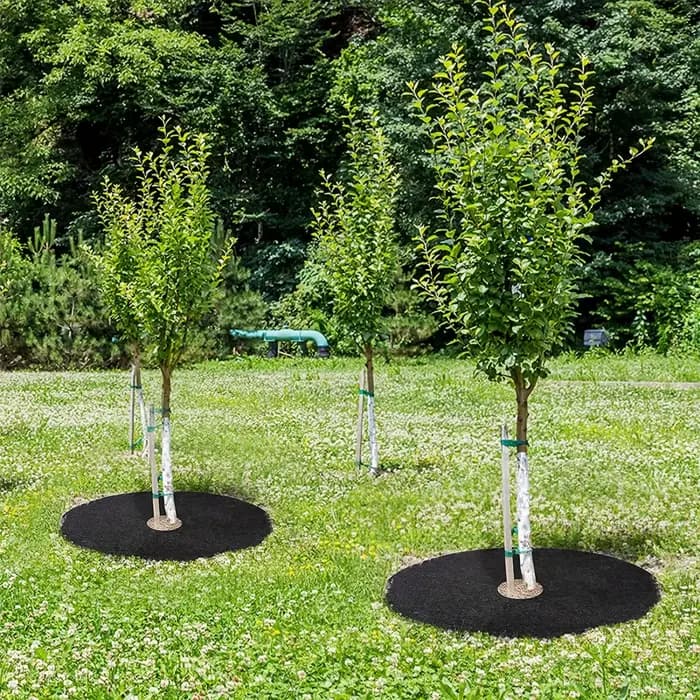 Anneau de paillis d'arbre Non tissé 10 pièces, tapis de protection d'arbre épaissi, couverture de pl