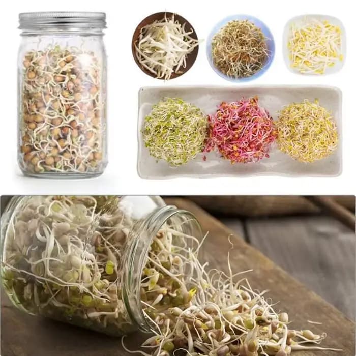 Kit de germination de pot Mason à large bouche en verre organique