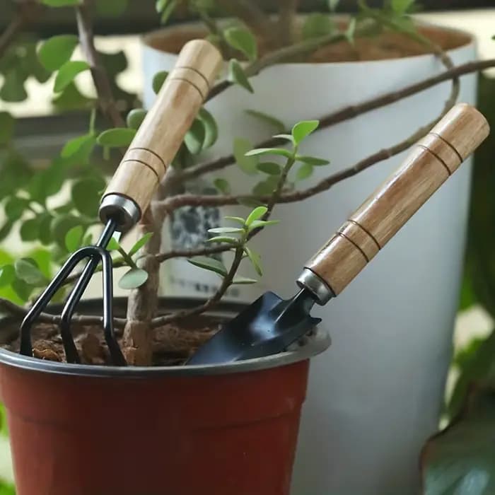 Ensemble d'outils de jardinage avec truelle et pelle
