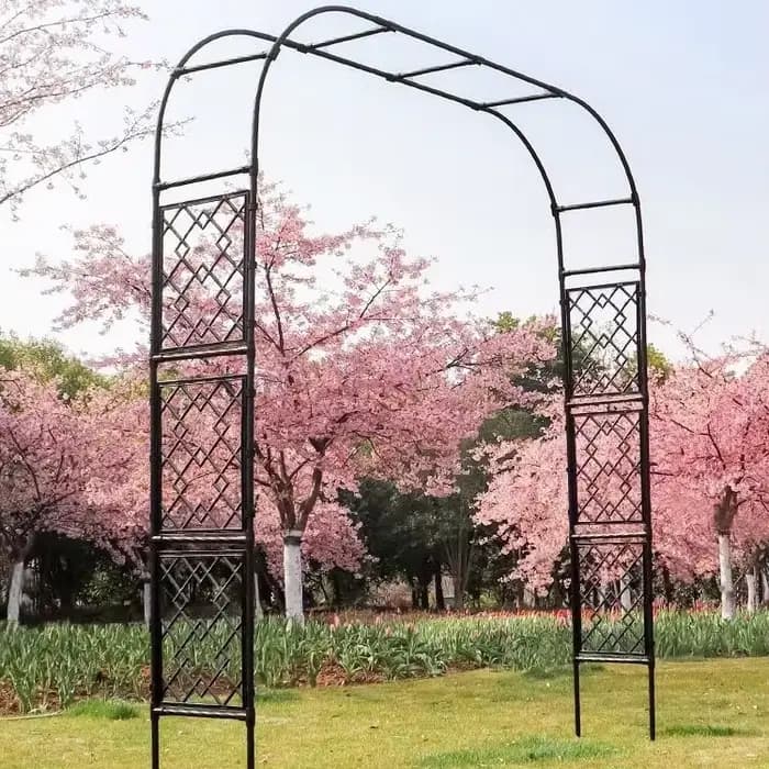 Arche de jardin treillis, structure d'escalade extérieure pour vigne, roses et plantes à fleurs