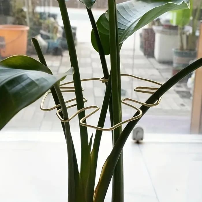 Grand support pour plantes suspendues