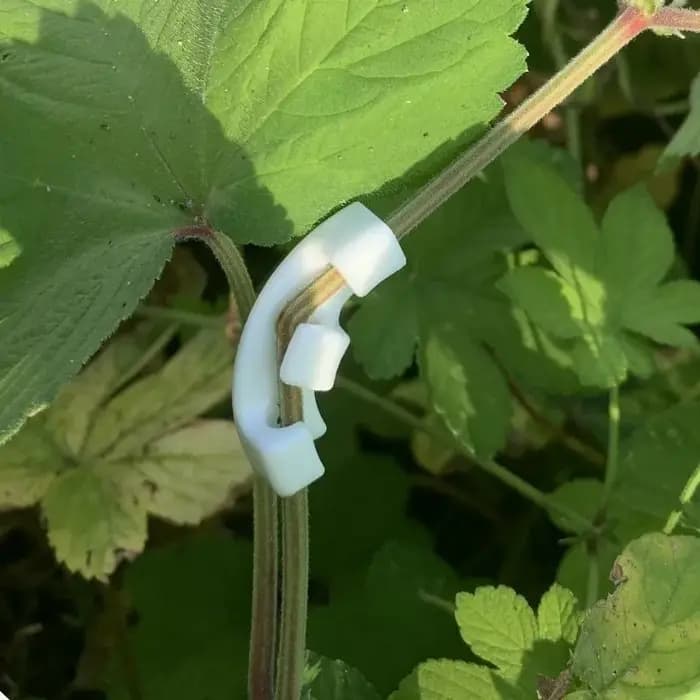 Outil de pliage de branches de bonsaï, crochet de formation pour plantes, pince pour façonner et plier les branches, kit d'outils de formation pour jardinage