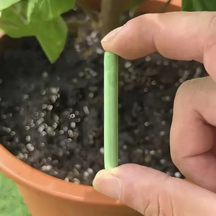 300/18 bâtonnets nutritifs pour plantes vertes
