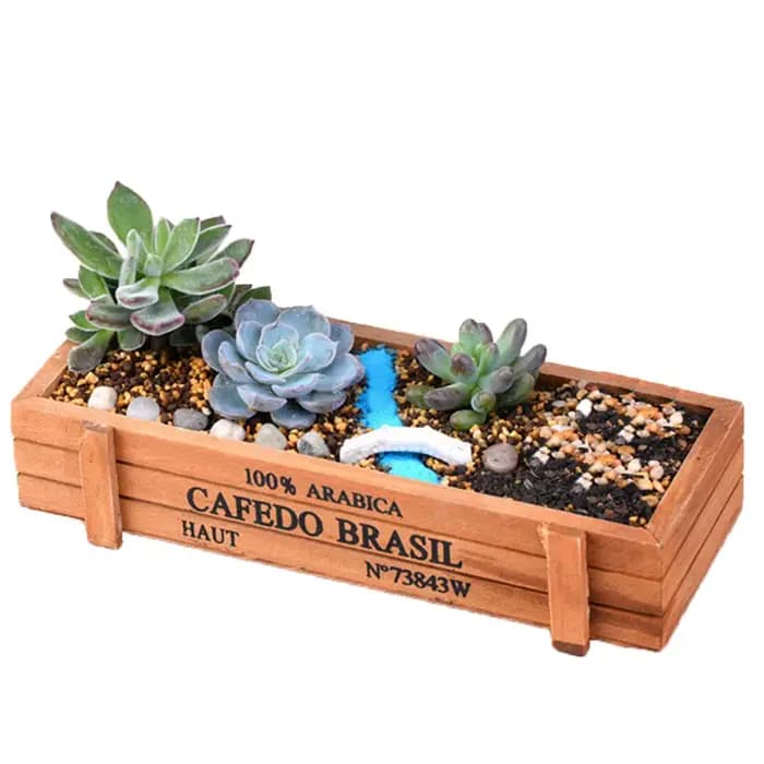1 pot décoratif en bois pour plantes succulentes