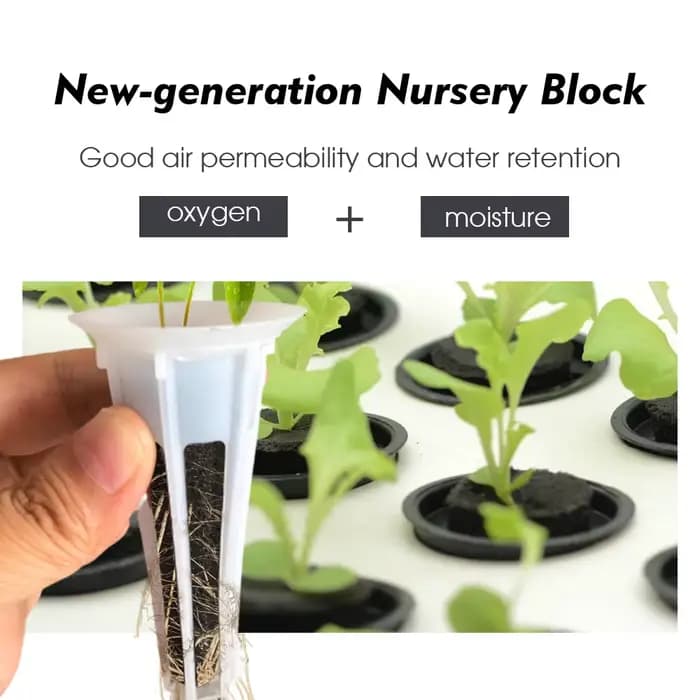 Éponges de culture hydroponique de jardin pour plantes de démarrage de graines, transplantation de g