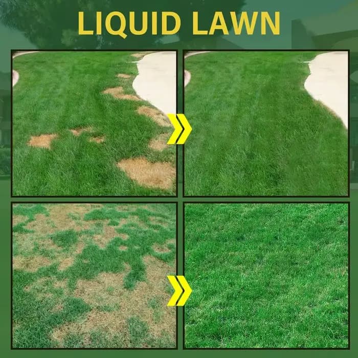 Spray de pelouse vert enge, système de semis domestique, spray liquide, soins de la pelouse, plans,
