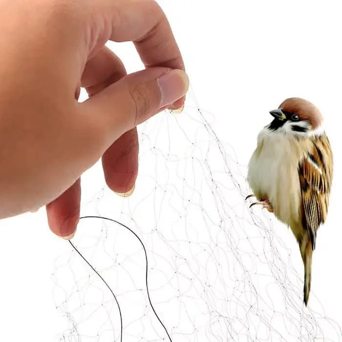 Filet à oiseaux de 4,92 pieds, maille de jardin, barrière contre les insectes, pour protéger les pla