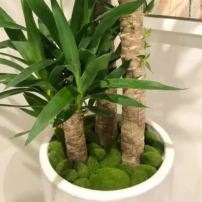 Fausse plante verte artificielle pour décoration de pot de fleur, pierre de mousse de simulation, bo