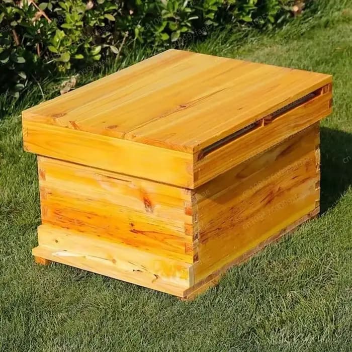 Colives à sept cadres en sapin Traitement enduit de cire d'abeille Cadre standard en nid