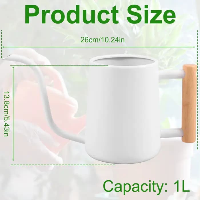 Arrosoir 1L avec manche en bois, Pot d'arrosage en acier inoxydable avec pichet d'arrosage à Long be