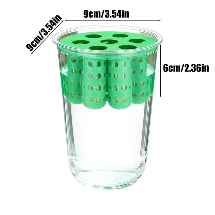 Kit de culture hydroponique réutilisable transparent pour oignon vert
