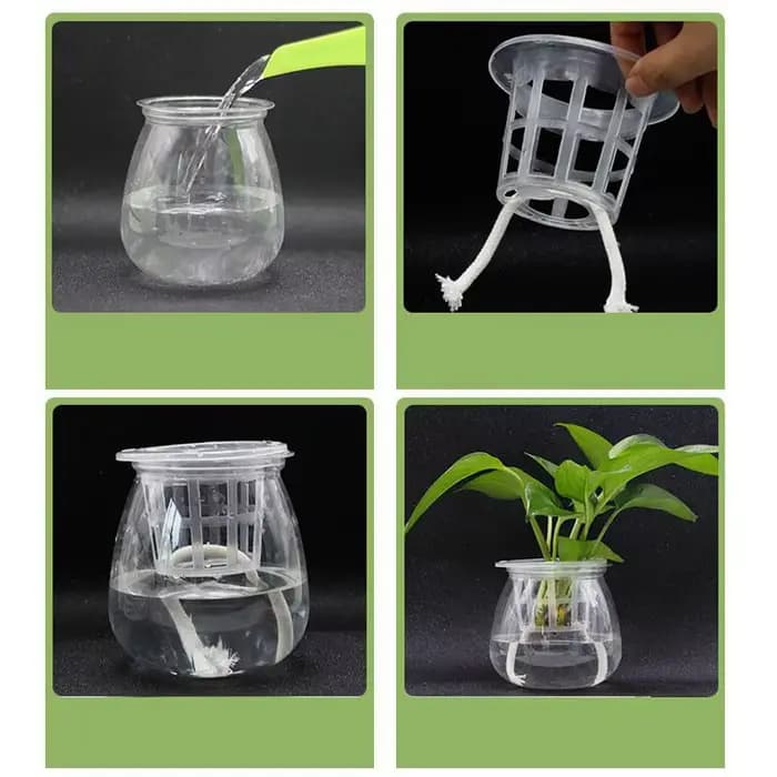 Filet en maille hydroponique sans sol, 50 pièces, panier pour plantes, légumes, tasse de pépinière,