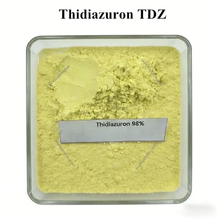 Thidiazuron TDZ 98% TC Haute Pureté à Bas Prix Livraison Gratuite