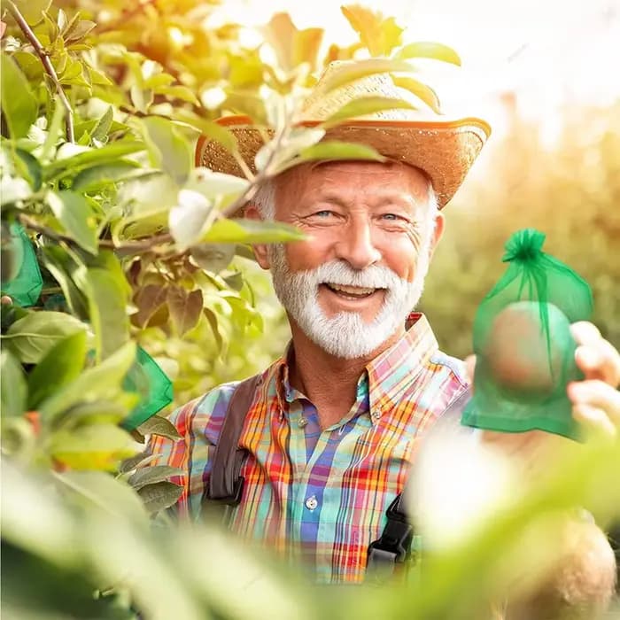 Sacs de Culture de Fruits et Légumes, Protection Contre les Oiseaux, Filet en Maille, Outils de Jard